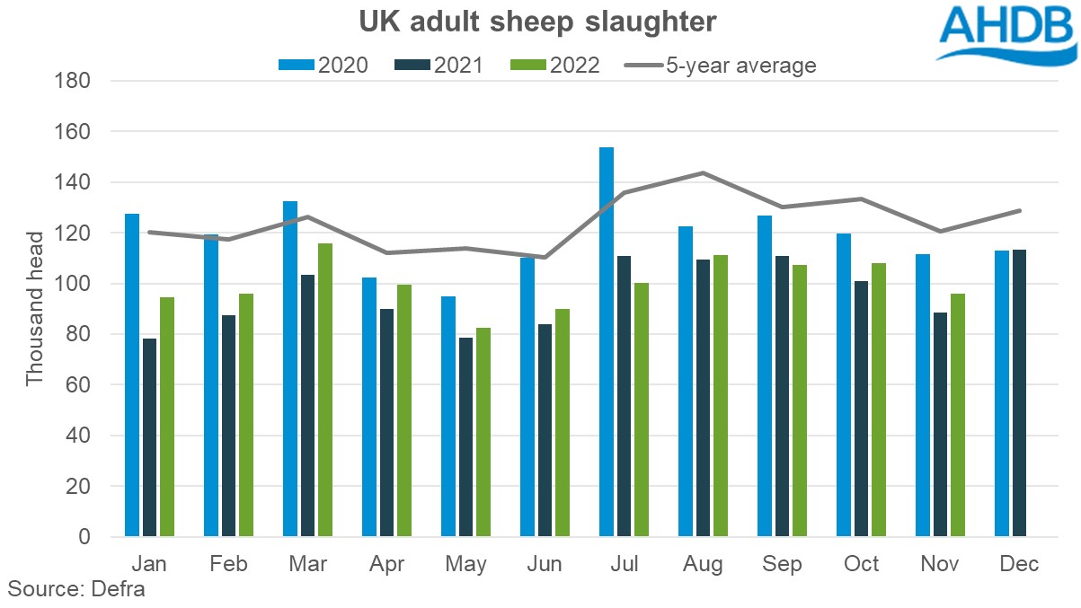 Graph of UK adult sheep slaughter numbers
